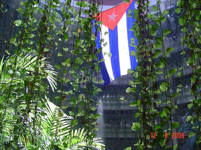 Кубинский флаг и свисающие растения во внутреннем пространстве Meliá Varadero; архив 2006 года.